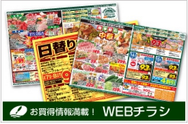 カドイケWEBチラシ